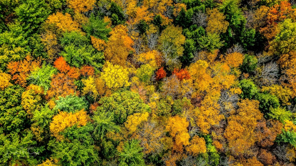 About the partnership